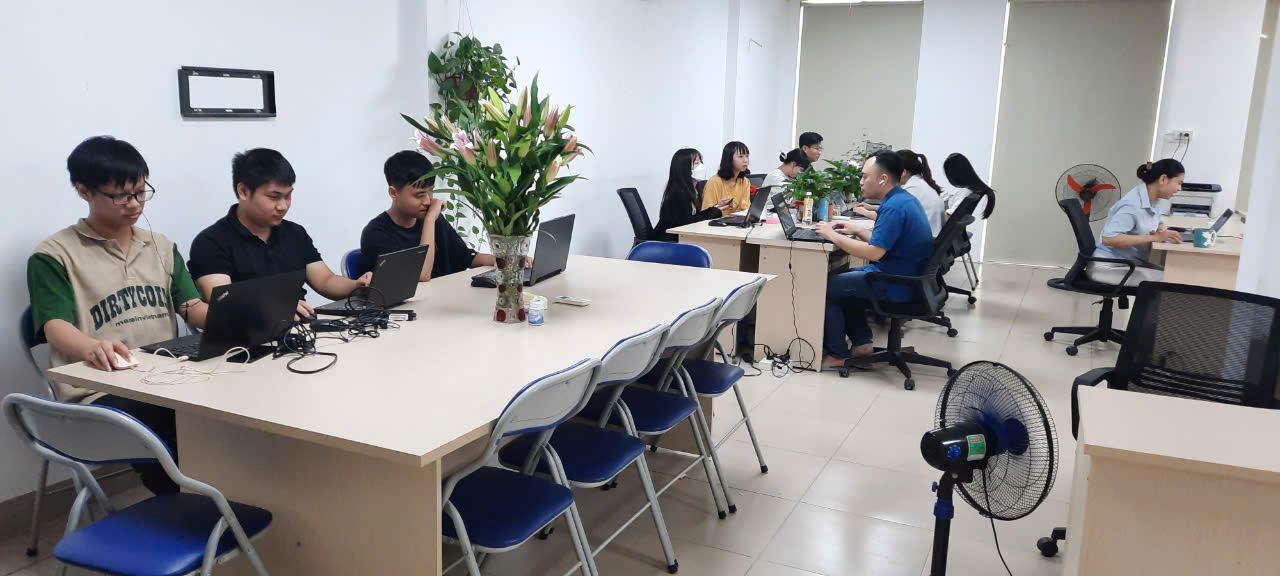 lĩnh vực hoạt động